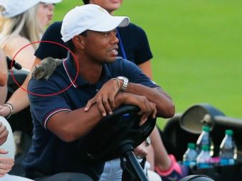 
	VIDEO: Tiger Woods, &#39;atacat&#39; ieri in timpul unui meci de golf! Cum a reactionat cand si-a dat seama ce are pe spate:
