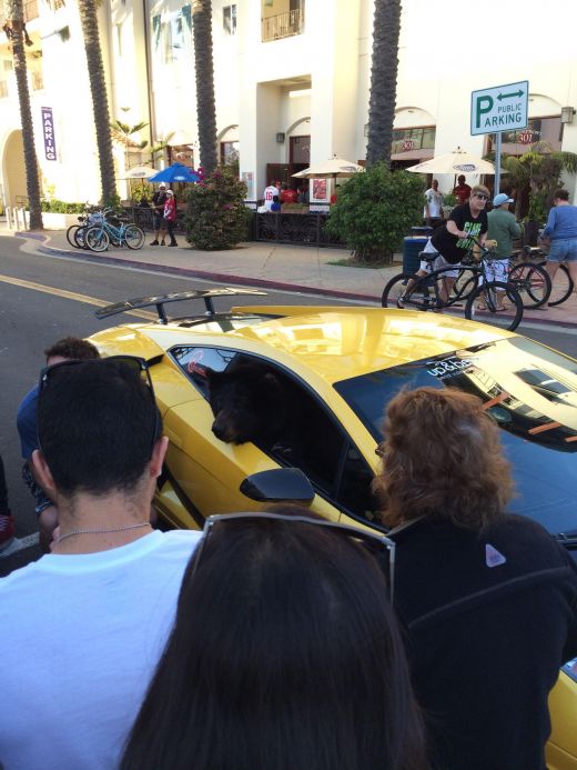 FOTO Tot traficul s-a oprit sa vada: "Cum este posibil asa ceva?" Pasagerul unui Lamborghini a SOCAT orasul Los Angeles!_1