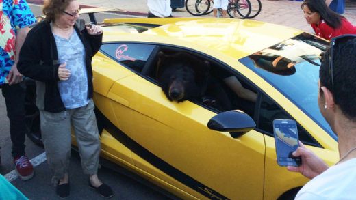 FOTO Tot traficul s-a oprit sa vada: "Cum este posibil asa ceva?" Pasagerul unui Lamborghini a SOCAT orasul Los Angeles!_2