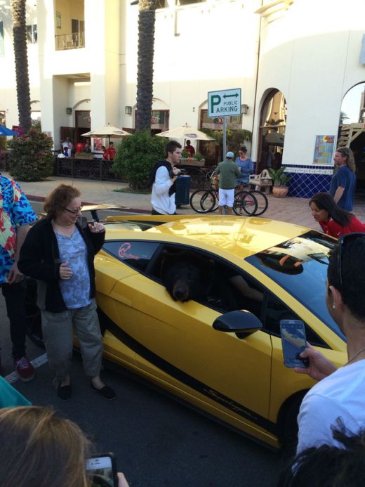 FOTO Tot traficul s-a oprit sa vada: "Cum este posibil asa ceva?" Pasagerul unui Lamborghini a SOCAT orasul Los Angeles!_3
