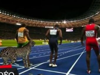 VIDEO FABULOS! Un ghepard a alergat in cursa cu FULGERUL Bolt! Vezi cine a castigat