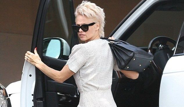 FOTO Imaginea care i-a surprins pe americani! Cum a fost surprinsa Pamela Anderson la volan!_3