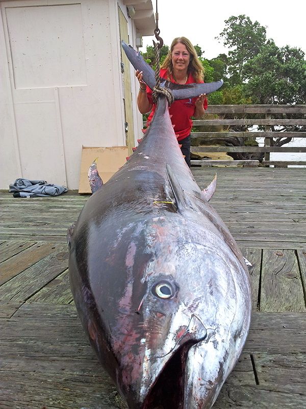 O femeie din Noua Zeelanda a prins cel mai mare peste ton din lume! MONSTRUL are 411 kilograme! FOTO_2