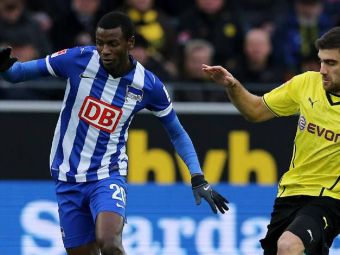 
	OFICIAL! Dortmund a transferat inlocuitor pentru Lewandowski! Klopp si-a luat SUPER atacant cu 10 milioane de euro!
