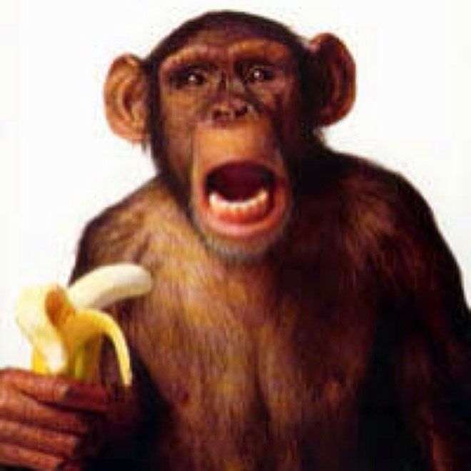 FOTO Campanie FARA PRECEDENT de sustinere pentru Dani Alves! Reactii pe toata planeta dupa atacul cu banane!_9