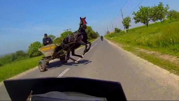 
	VIDEO Imaginile din Romania care fac inconjurul lumii! Ce s-a intamplat intre o caruta si o motocicleta pe sosea
