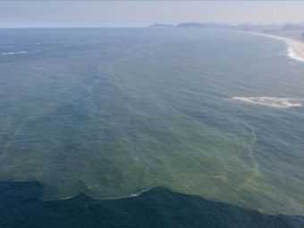 
	&quot;In Rio, daca te duci la plaja, ajungi la canal!&quot; Dezastrul din Rio inainte de Mondialul din Brazilia. Ce au gasit in apa&nbsp;
