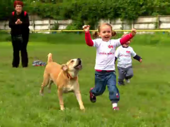 Cea mai tare cursa din Bucuresti de ziua copilului. Cine a castigat cursa dintre copii si caini :)