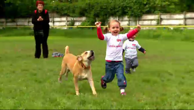 Cea mai tare cursa din Bucuresti de ziua copilului. Cine a castigat cursa dintre copii si caini :)