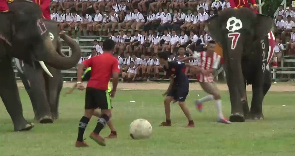 ACUM in Sport: Hazard si-a decis viitorul | VIDEO: Un pusti a jucat fotbal contra unor ELEFANTI | FOTO: Echipamentul lui United_4