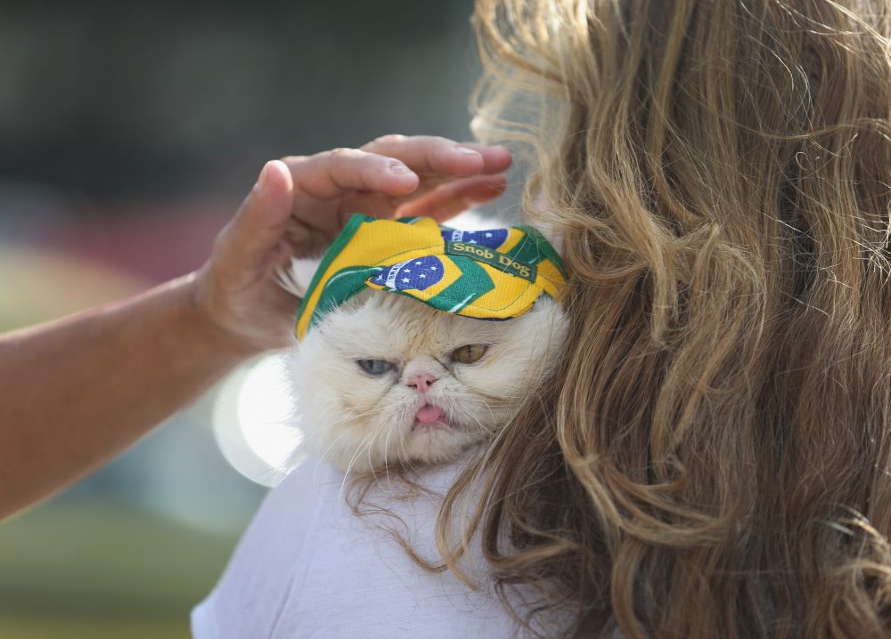 Imaginile nebuniei de la Mondial. Ce nu se vede niciodata la TV in timpul meciurilor din Brazilia. Super galerie FOTO_1