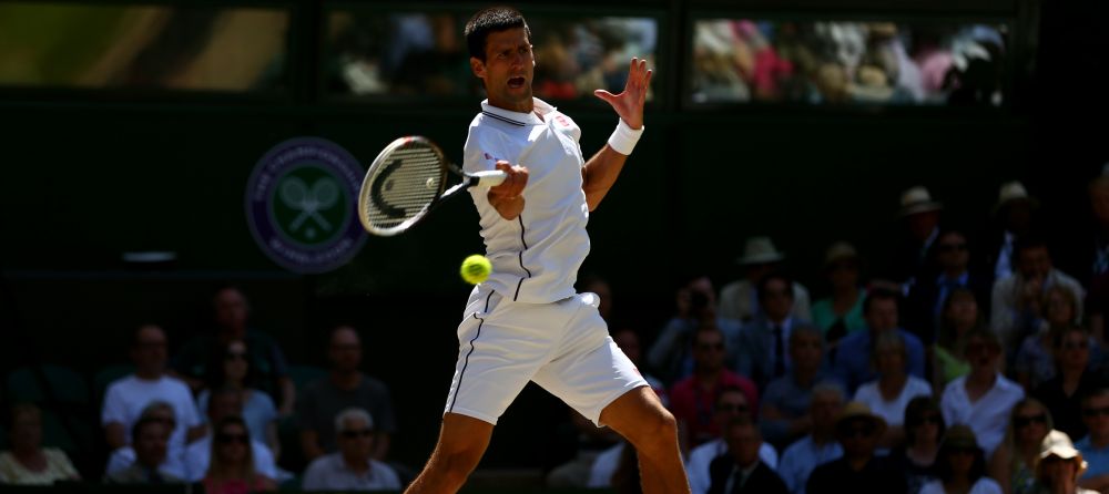 Finala de vis la Wimbledon: Federer - Djokovici! Federer, victorie in 3 seturi cu Raonici! Elena Ruse, in semifinale la junioare!_1