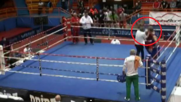 
	Imagini socante la un meci de box: arbitrul a fost batut cu bestialitate in ring, celalalt boxer s-a speriat si a fugit: VIDEO
