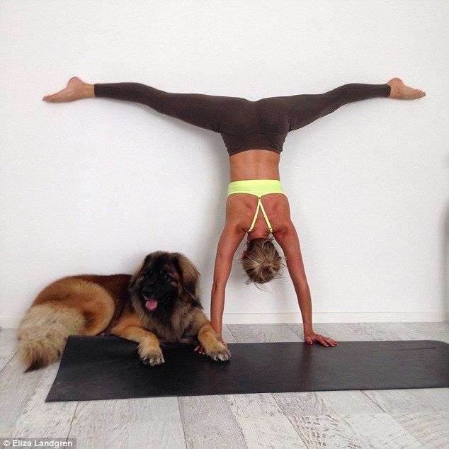 Cui nu-i place yoga, sa stea sa se uite :) Blonda de la drept vedeta pe Instagram: 120 de mii de fani si o afacere de milioane!_8