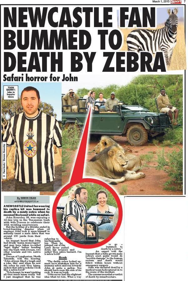 Un suporter al lui Newcastle a suferit o moarte teribila in safari! Ce s-a intamplat cand a fost vazut de o zebra in tricoul alb-negru_1