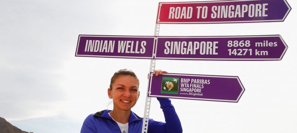 Simona Halep Road to Singapore Serena Williams WTA