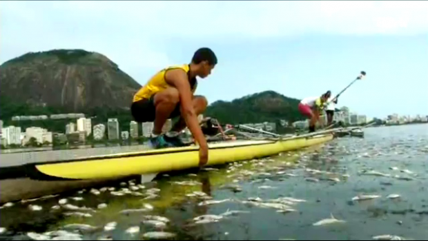 
	&quot;Ne vine sa vomitam cand intram in apa!&quot; Catastrofa ecologica inainte de Jocurile de la Rio. Peisajul este infiorator
