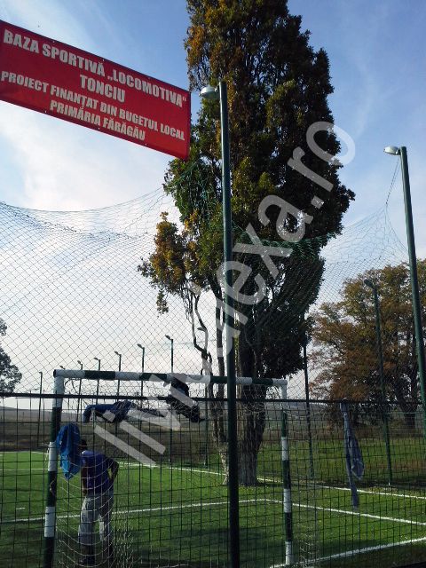 Fundasul dreapta e LEMN! FABULOS! Terenul de fotbal din Romania construit in jurul unui copac! FOTO_3