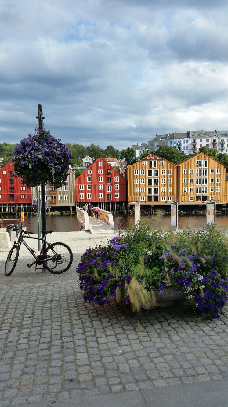 Cum arata PARADISUL in care stelistii vor sa produca marea minune. Trondheim, orasul in care oamenii se plimba cu taxi-uri TESLA si yachturi_3
