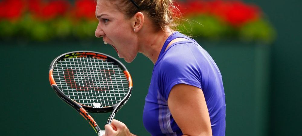 Simona Halep Horia Tecau US Open