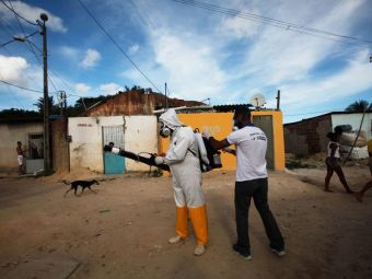 
	Sunt amenintate JO de Zika, virusul care a alertat o lume intreaga? Anuntul guvernului brazilian, tara cu 1.5 mil oameni afectati
