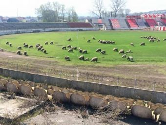 
	Se intampla in Romania. Stadionul unei foste castigatoare a Cupei Romaniei a ajuns pasune pentru oi: &quot;Anul trecut era groapa de gunoi&quot;
