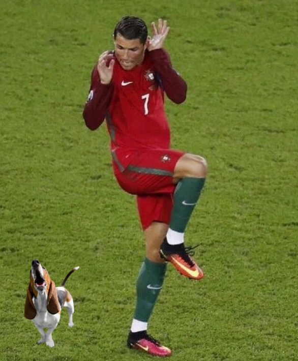 Dilema zilei pe internet: ce l-a speriat pe Ronaldo? TOATE scenariile posibile! :) FOTO_11