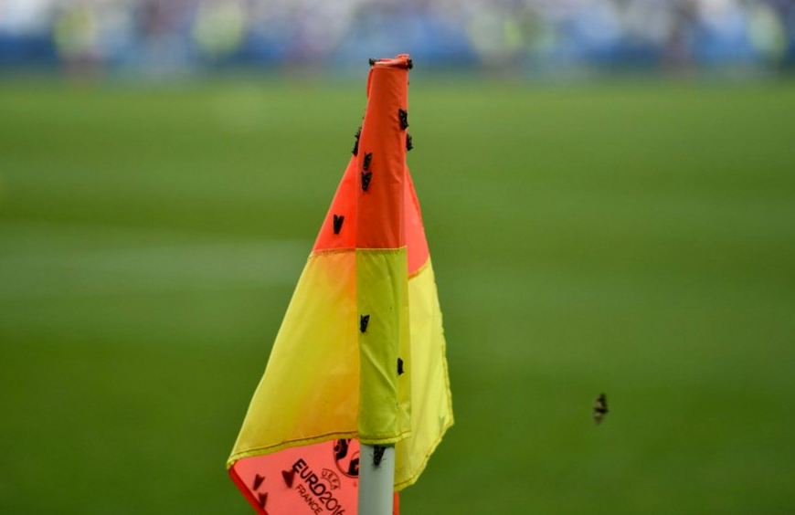 La atacul asta chiar nu s-a gandit nimeni! Invazie de molii pe Stade de France, lumea nu intelege ce se intampla! :) FOTO_2