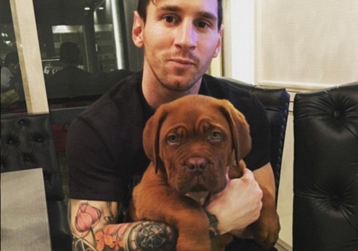 In ianuarie era doar un catel simpatic, acum s-a transformat intr-un "monstru" mai mare ca Messi :) Cum arata acum Dog-ul de Bordeaux, la doar 8 luni distanta_2