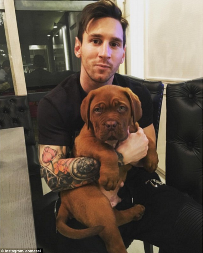 In ianuarie era doar un catel simpatic, acum s-a transformat intr-un "monstru" mai mare ca Messi :) Cum arata acum Dog-ul de Bordeaux, la doar 8 luni distanta_1