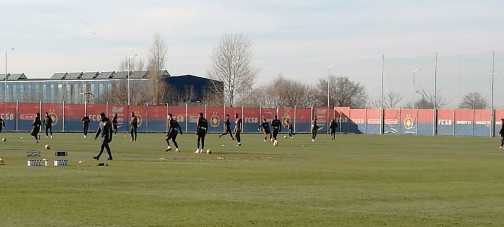 Steaua Bogdan mitrea Laurentiu Reghecampf