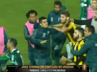 IMAGINI INCREDIBILE! Bataie GENERALA dupa meciul lui Palmeiras. Pumni si picioare intre jucatori. VIDEO