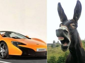 
	Proprietarul unui magar, obligat de instanta sa plateasca 5800 &euro; dupa ce animalul a mancat vopseaua de pe un McLaren :)
