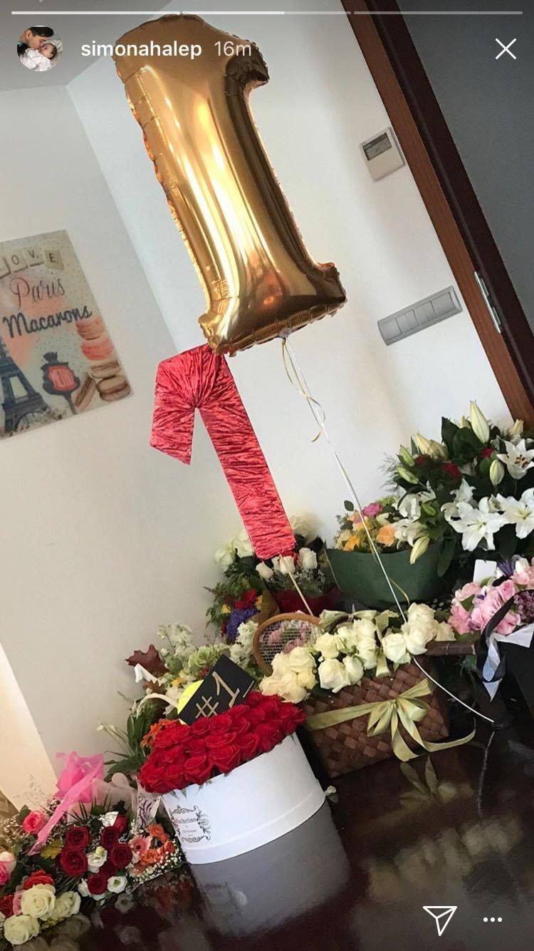 Surpriza avuta de Simona Halep la intoarcerea acasa! Cu ce cadou au asteptat-o parintii: FOTO_2