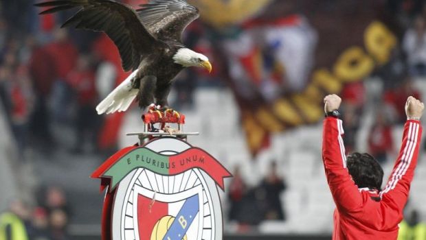 
	INCREDIBIL | Benfica someaza un club din Romania sa-si schimbe numele! Portughezii au facut deja primii pasi
