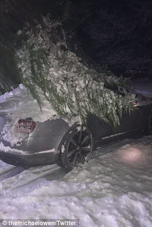 Si-a parcat Bentley-ul sub un copac sa o protejeze de ninsoare! Cum si-a gasit Michael Owen masina de 200.000 de euro_2