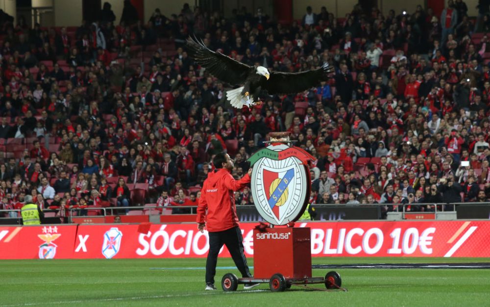 Povestea fabuloasa a vulturului de la Lazio: 125.000 € pe an costa intretinerea lui si e ruda cu vulturii de la Benfica si Ludogorets_3