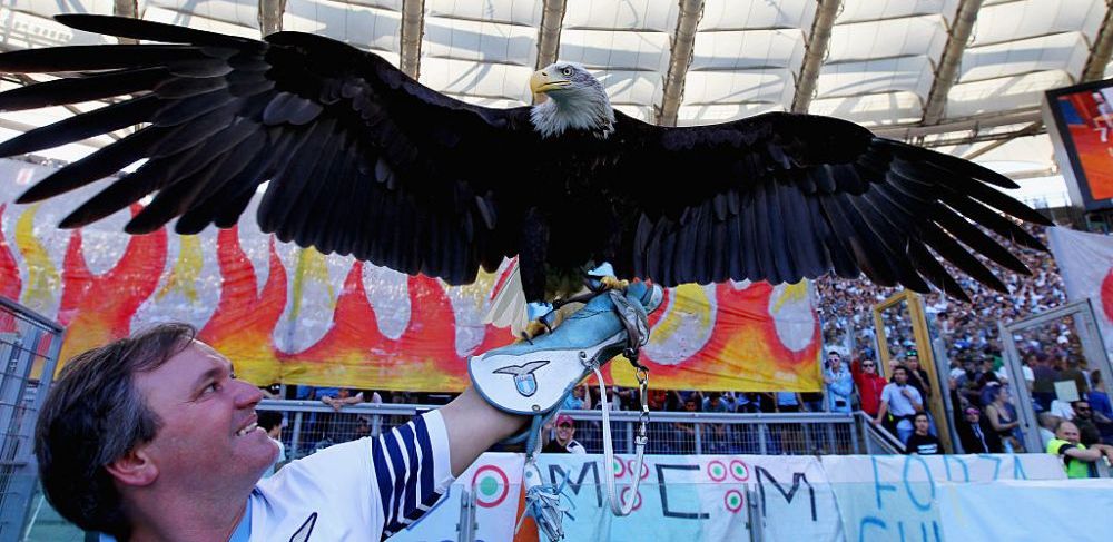Povestea fabuloasa a vulturului de la Lazio: 125.000 € pe an costa intretinerea lui si e ruda cu vulturii de la Benfica si Ludogorets_1