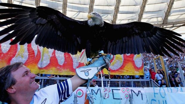 
	Povestea fabuloasa a vulturului de la Lazio: 125.000 &euro; pe an costa intretinerea lui si e ruda cu vulturii de la Benfica si Ludogorets
