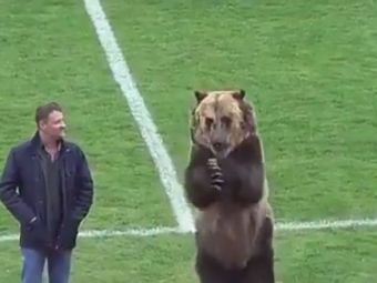 
	VIDEO | IMAGINI DEMENTIALE in Rusia: ursul Tim, sef de galerie la un meci de liga a treia!
