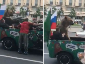 
	CM 2018 | Rusii PLIMBA URSUL! L-au pus sa sufle in vuvuzela si sa faca un gest controversat! VIDEO
