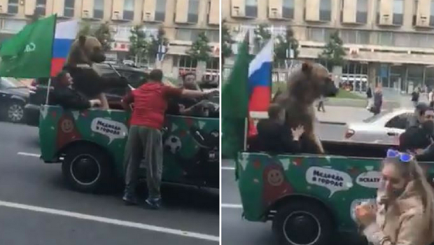 
	CM 2018 | Rusii PLIMBA URSUL! L-au pus sa sufle in vuvuzela si sa faca un gest controversat! VIDEO
