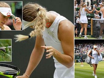 Wozniacki a RABUFNIT dupa eliminarea de la Wimbledon 2018: &quot;Suntem aici sa jucam tenis, nu sa MANCAM insecte!&quot;