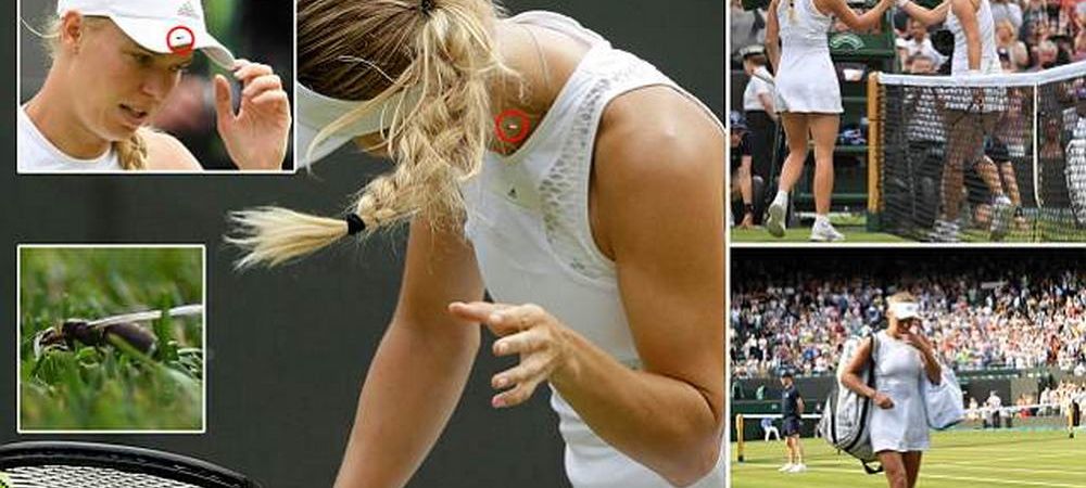 Caroline Wozniacki Rezultate Wimbledon 2018 Turneul de la Wimbledon Wimbledon 2018 Wozniacki Wimbledon 2018