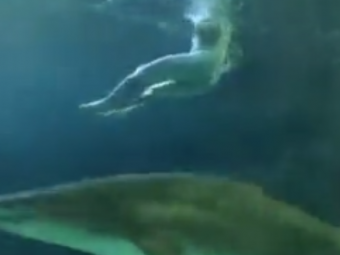 
	VIDEO INCREDIBIL! Un barbat s-a aruncat dezbracat in acvariul rechinilor si a inceput sa inoate! Ce s-a intamplat
