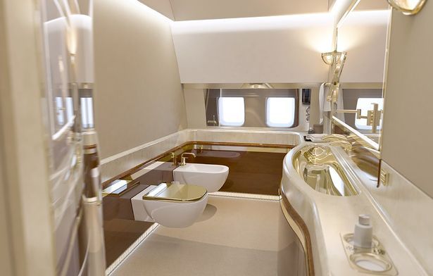 Avionul de 430 milioane al lui Putin are WC placat cu AUR, dormitor, sala de fitness si de conferinte. FOTO_7