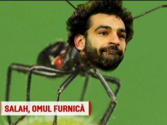 
	S-a facut mic cat o furnica! GENIAL: Salah e noua specie de furnici descoperita in Arabia :)
