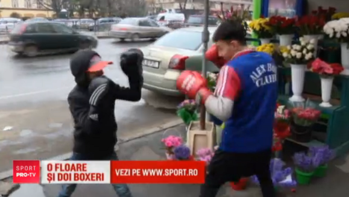 Fratii care vor sa cucereasca boxul din Romania: cand nu sunt in ring, o ajuta pe mama lor la florarie!_1