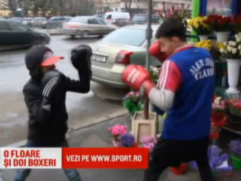 
	Fratii care vor sa cucereasca boxul din Romania: cand nu sunt in ring, o ajuta pe mama lor la florarie!
