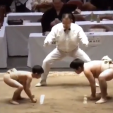 Tantarul si elefantul in ringul de sumo! Desfasurarea uluitoare a acestui meci de greutati total diferite